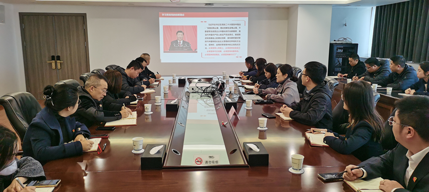集團(tuán)黨委委員、副總經(jīng)理賀維維同志講授專題黨課